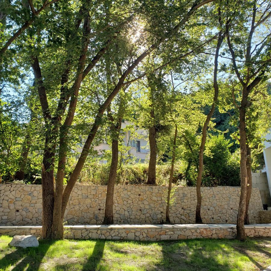 Green Hill Apartments Ulcinj Luaran gambar
